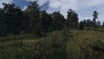 The Witcher 3 Screenshot 2019.05.05 - 13.01.20.68.jpg