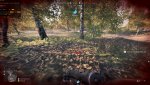 bfv_2019_05_26_01_46_52_087.jpg