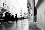 _DSC7791.jpg