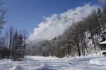 _DSC7029.jpg
