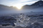 _DSC7148.jpg