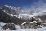 _DSC3760.jpg