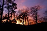 _DSC3902.jpg