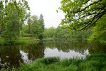 D85_4011_DxO.jpg