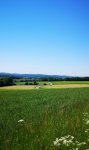 IMG_20190602_175215.jpg