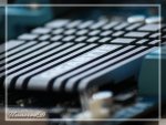 IMG_3724.jpg