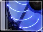 IMG_3580#1.jpg