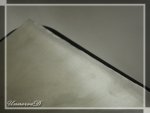 IMG_3704.jpg