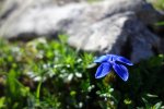 DSC02916.jpg