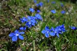 DSC02960.jpg