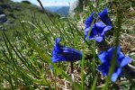 DSC02957.jpg