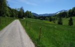 DSC03003.JPG