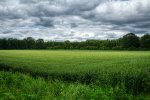 IMG_6180.jpg