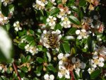 DSC00049.JPG