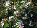 DSC00047.JPG