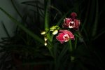 20190618-IMGP3727.jpg