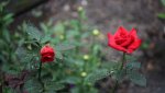IMG_5695_Fotor.jpg