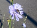 20190625_074623.jpg