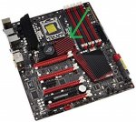 A1NFXdMP8RL._SX355_.jpg