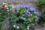 IMG_5859_Fotor.jpg