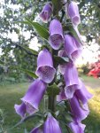 20190602_203544.jpg