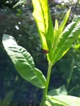 20190526_165236.jpg