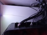 DSC01137.jpg
