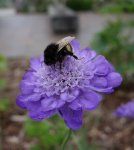 20190714_232941.jpg