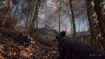 bfv_2019_07_18_16_50_53_544.jpg