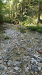 IMG-20190720-WA0006_resized_20190729_025253643.jpg