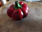 paprika.jpg