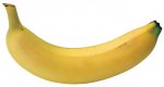 Banane-201020047719.jpg
