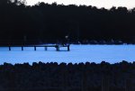 DSC_2983.jpg