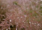 DSC03257.JPG