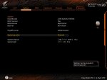 Bios Version.jpg