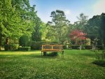 Bank-auf-Friedhof_1-THING-TO-DO.jpg