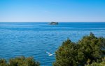 DSC_0789-2.jpg