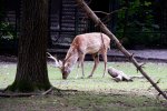DSCF3633b.jpg