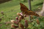 DSC03530.JPG