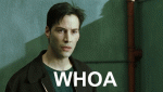GoldenGoodnaturedDragonfly-max-1mb.gif