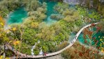 DSC_0107-2.jpg
