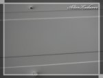 IMG_2524.jpg