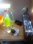 30062011210.JPG