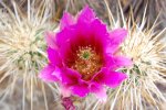 DSC_0162.jpg