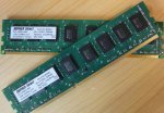 Ram_1.jpg