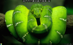 Desktop.png