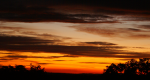 DSC09631_900.png