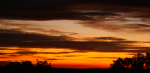 DSC09635_900.png