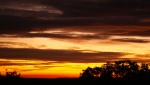 DSC09648_900.png