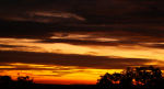 DSC09651_900.png